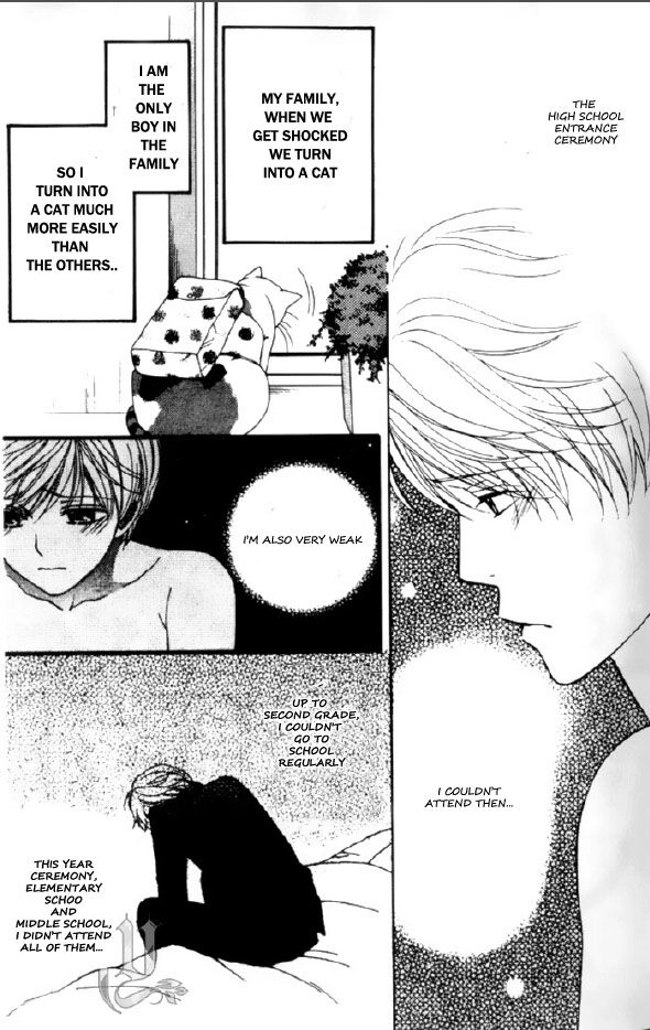 Read Neko Neko Honey chapter 1 image 12 on Lezhin