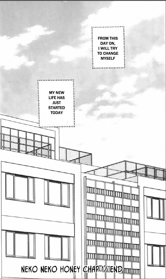 Read Neko Neko Honey chapter 1 image 31 on Lezhin