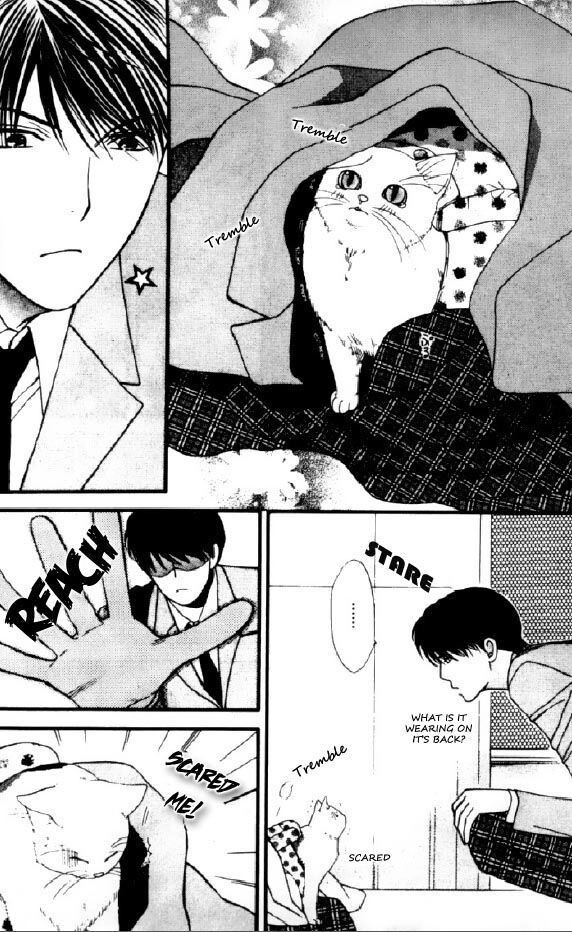Read Neko Neko Honey chapter 1 image 7 on Lezhin
