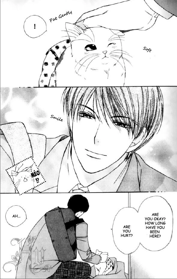 Read Neko Neko Honey chapter 1 image 8 on Lezhin