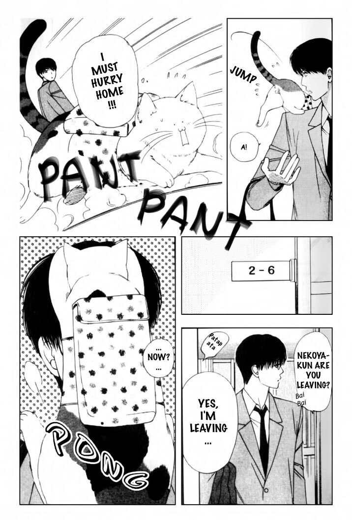 Read Neko Neko Honey chapter 2 image 22 on Lezhin