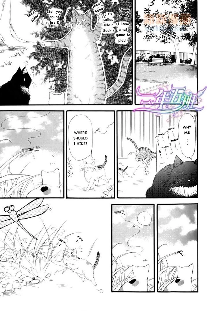 Read Neko Neko Honey chapter 6.5 image 1 on Lezhin