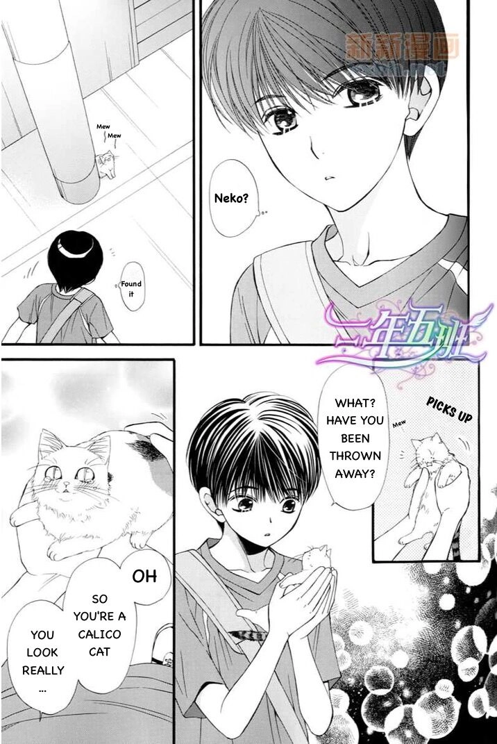 Read Neko Neko Honey chapter 6.5 image 3 on Lezhin