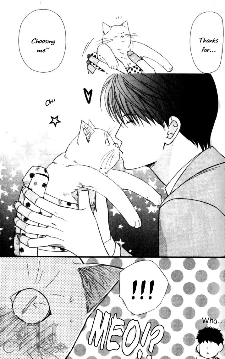 Read Neko Neko Honey chapter 6 image 31 on Lezhin