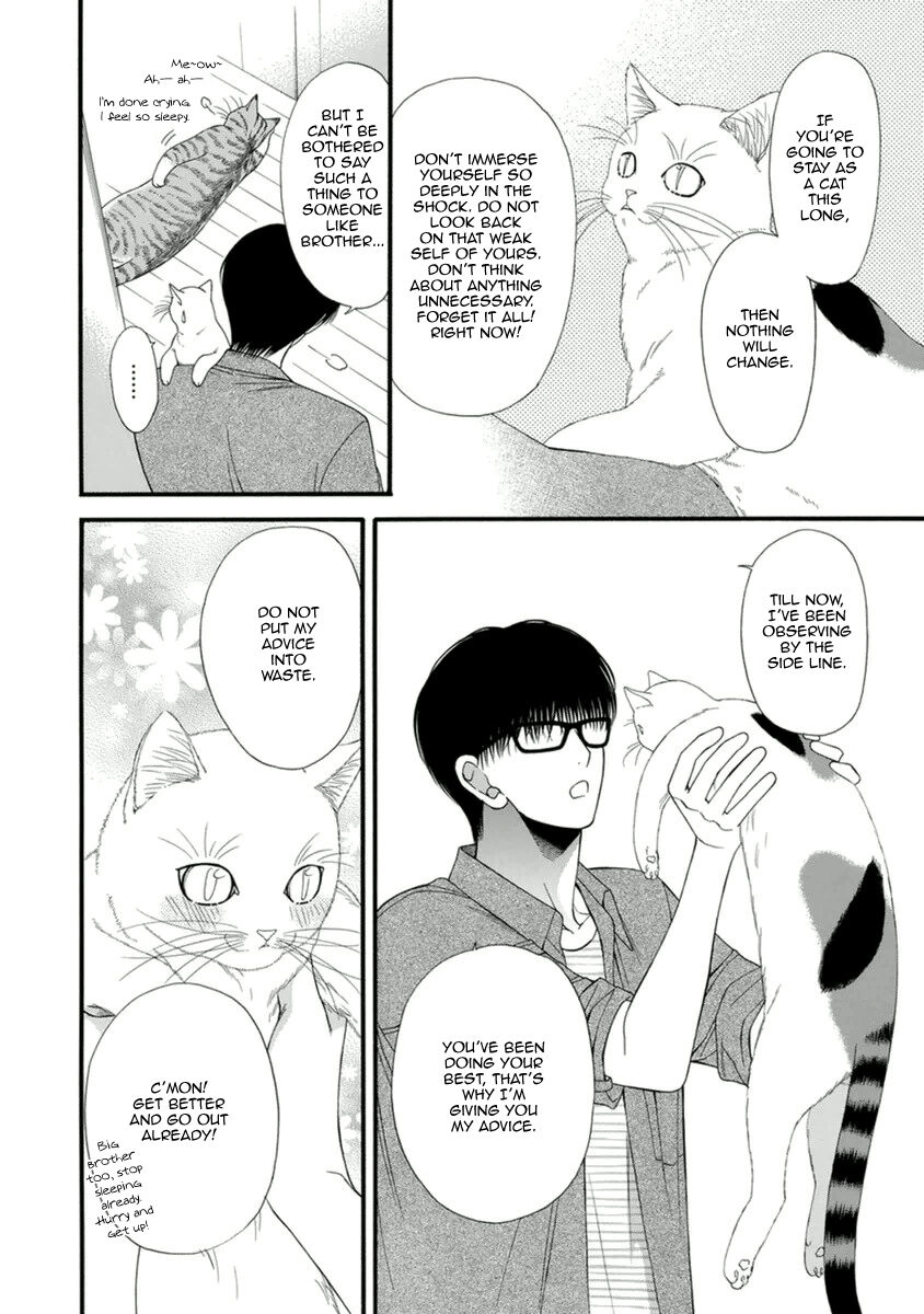 Read Neko Neko Honey chapter 9 image 15 on Lezhin