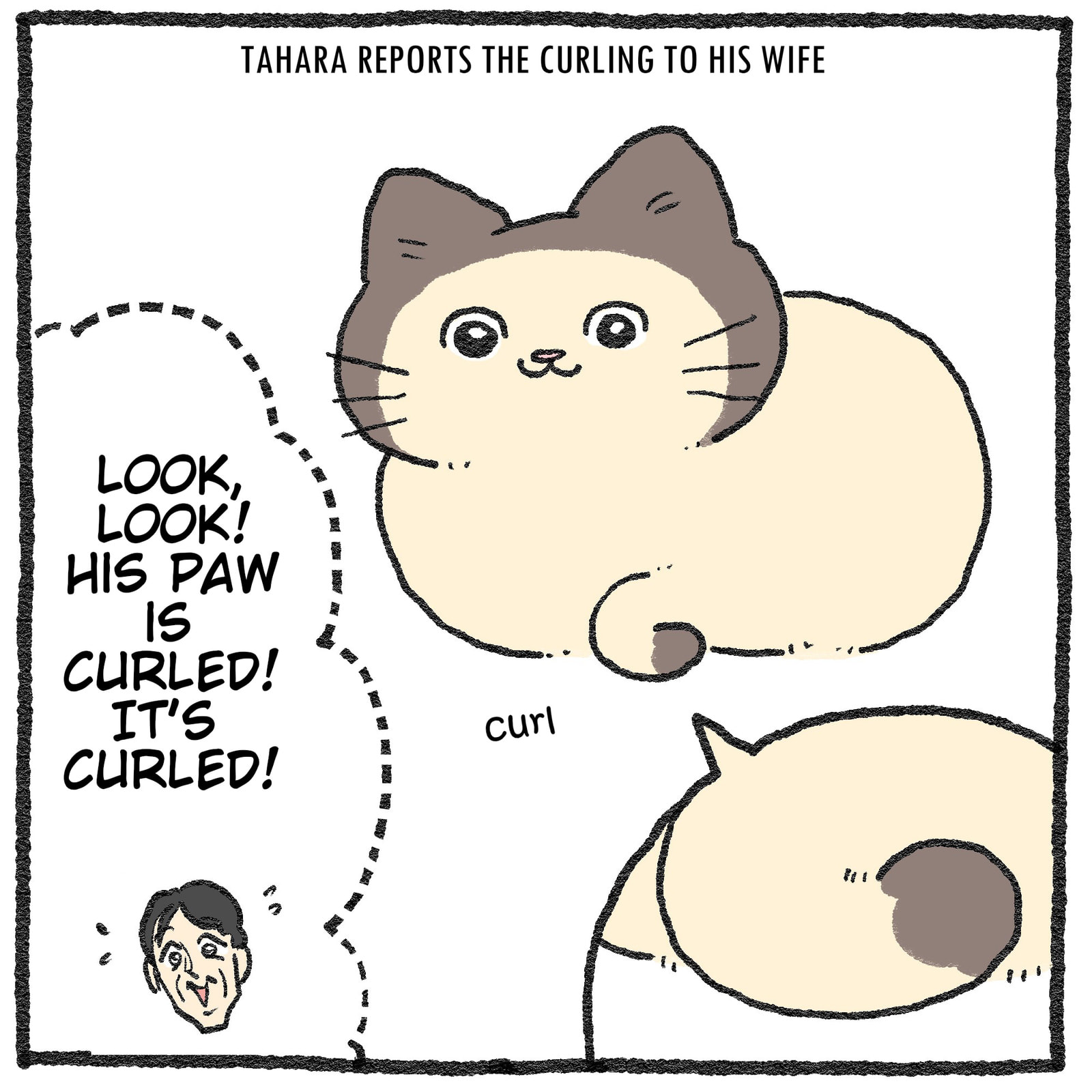 Neko Oji: Salaryman Reincarnated as a Kitten! Chapter 578.6 page 4 - 