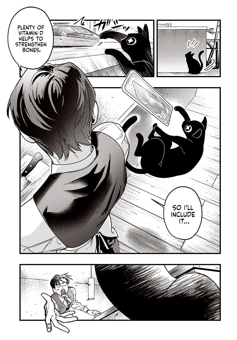 Read Neko To Gohan chapter 0 image 11 on Lezhin