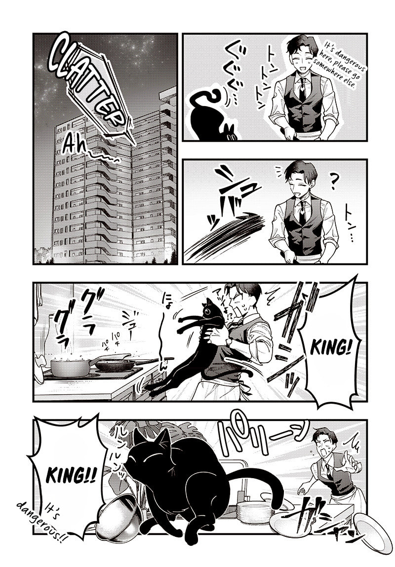 Read Neko To Gohan chapter 0 image 13 on Lezhin