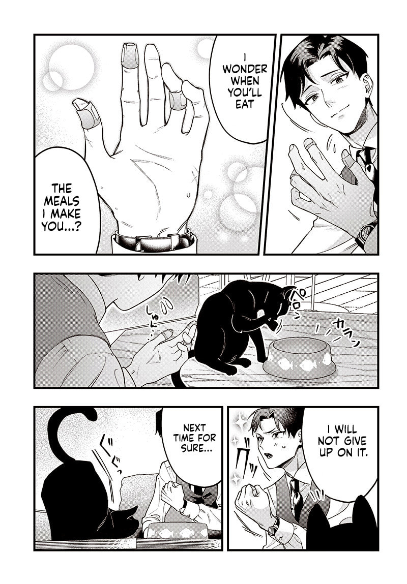 Read Neko To Gohan chapter 0 image 19 on Lezhin