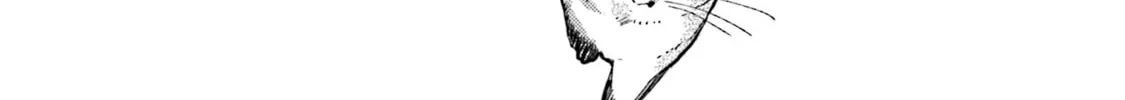 Read NekoDamari chapter 14 image 1 on Lezhin