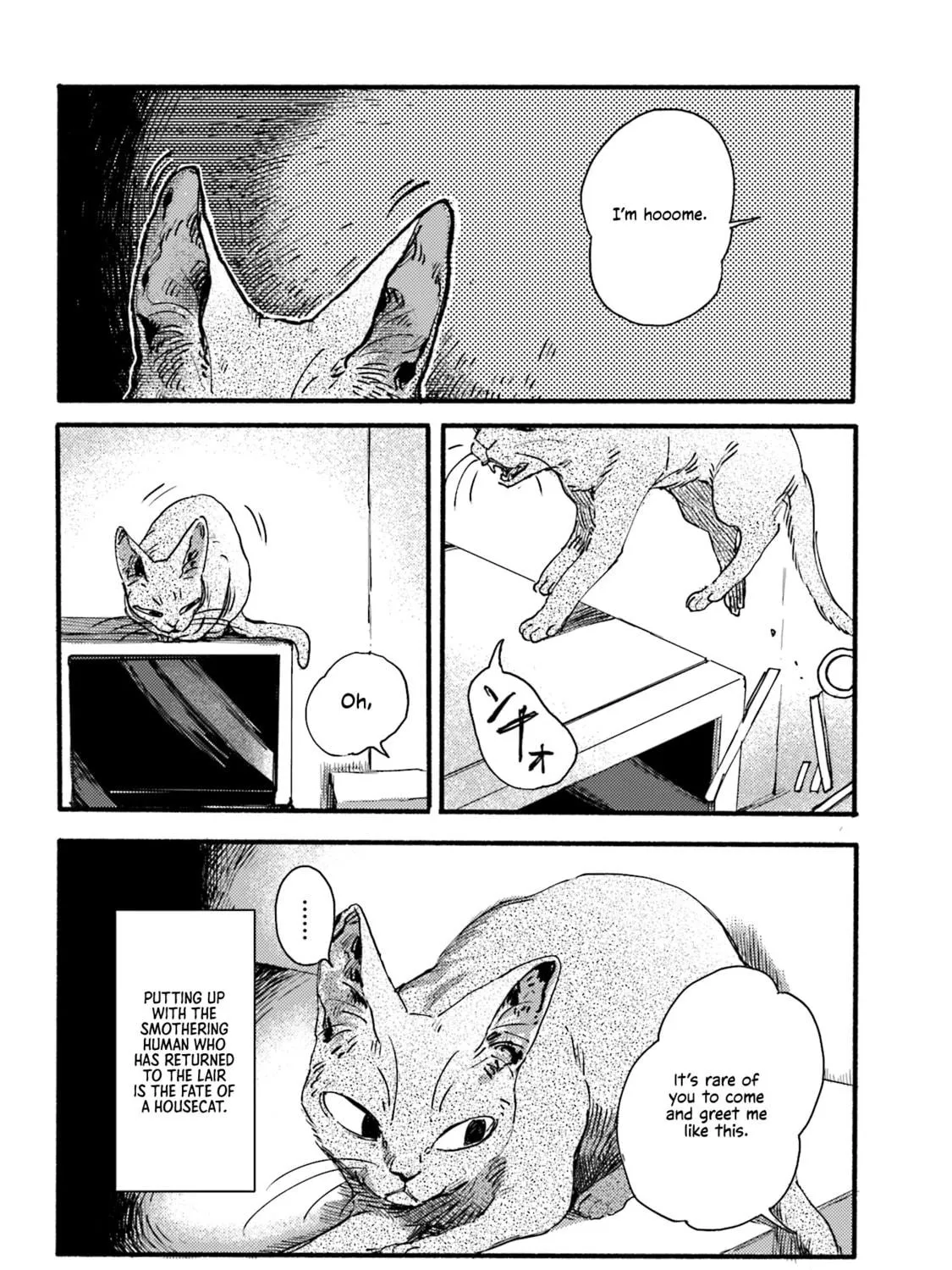 Read NekoDamari chapter 2 image 10 on Lezhin