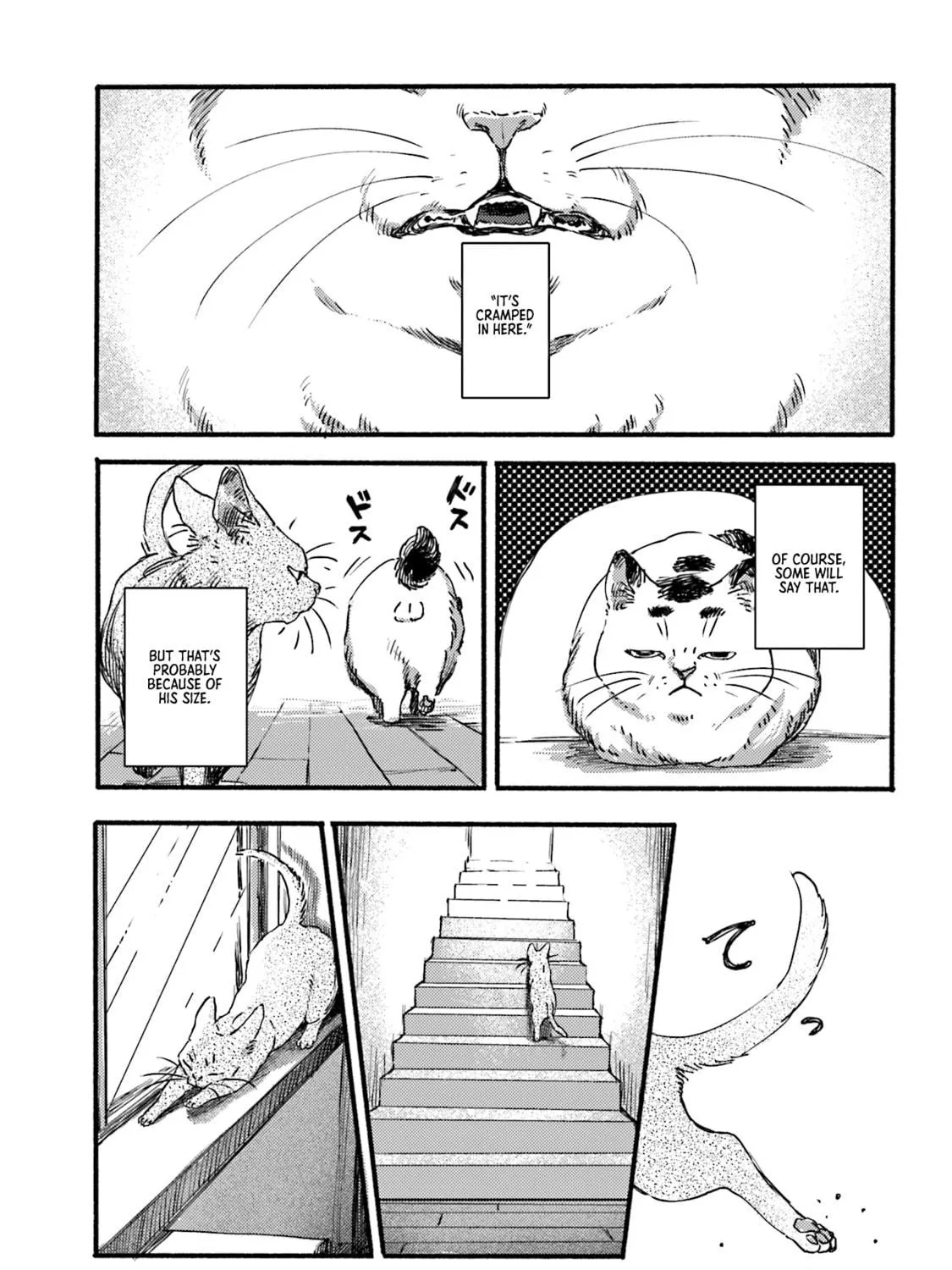 Read NekoDamari chapter 2 image 4 on Lezhin