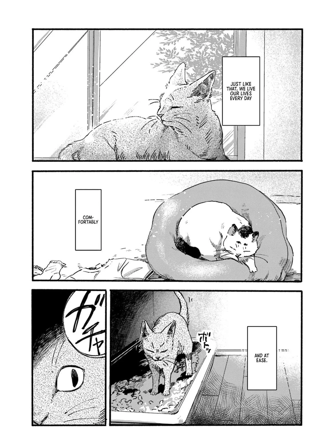 Read NekoDamari chapter 2 image 8 on Lezhin