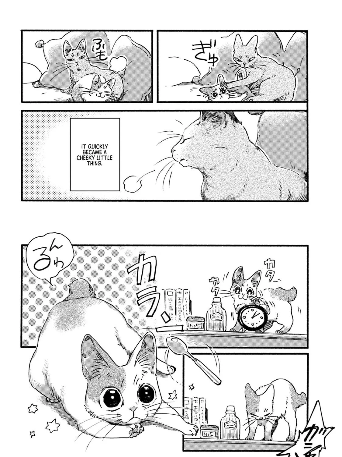 Read NekoDamari chapter 3 image 10 on Lezhin