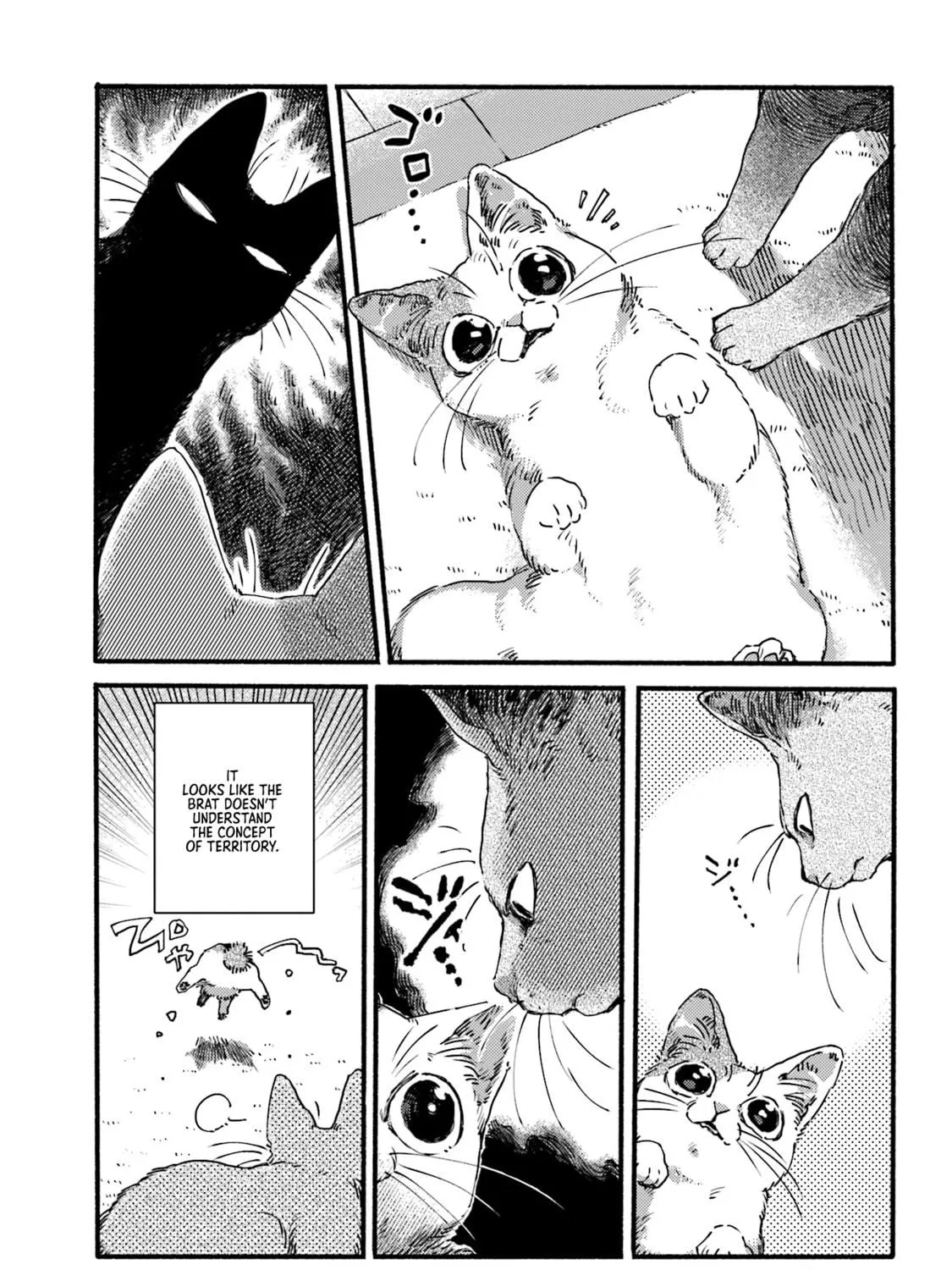 Read NekoDamari chapter 3 image 4 on Lezhin