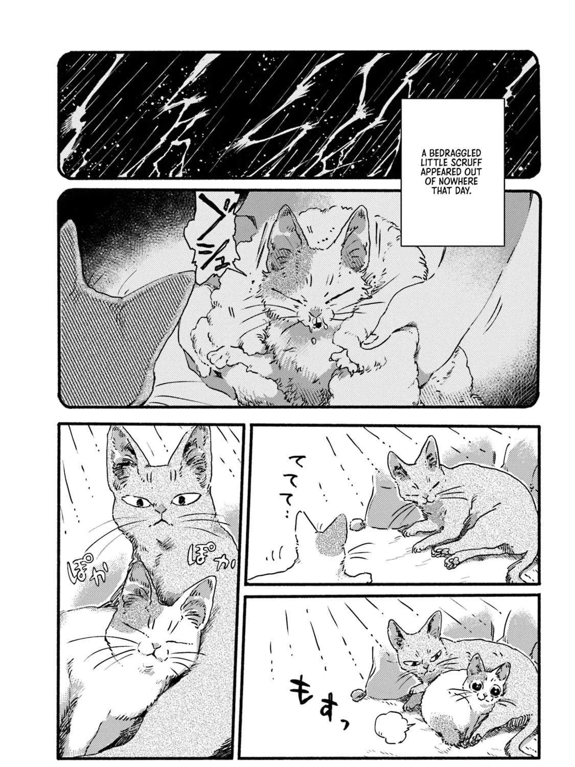Read NekoDamari chapter 3 image 8 on Lezhin