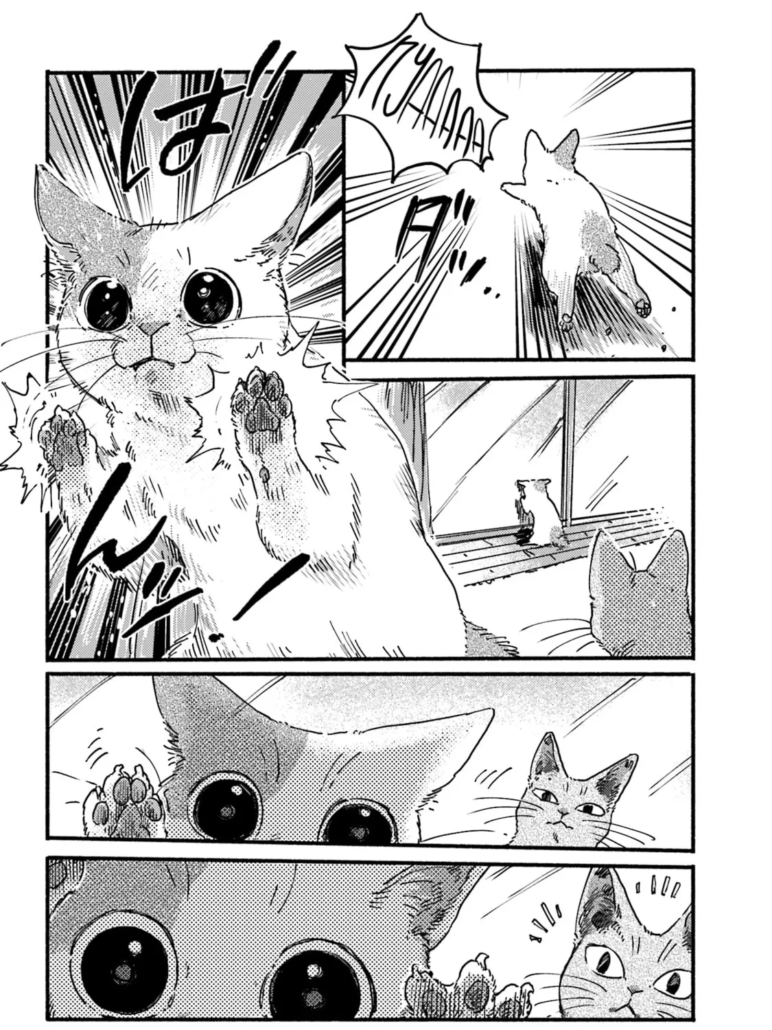 Read NekoDamari chapter 6 image 2 on Lezhin