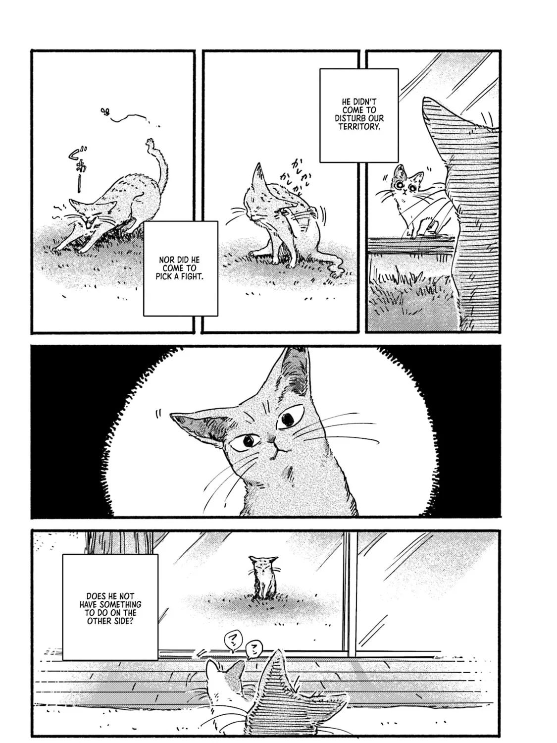 Read NekoDamari chapter 6 image 6 on Lezhin