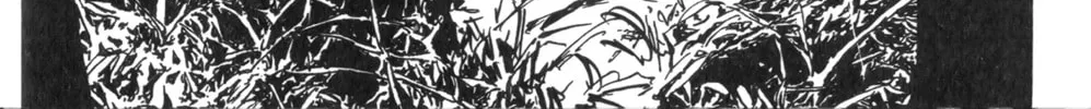 Read New Lone Wolf and Cub chapter 1 image 300 on Lezhin