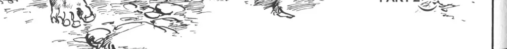 Read New Lone Wolf and Cub chapter 2 image 311 on Lezhin