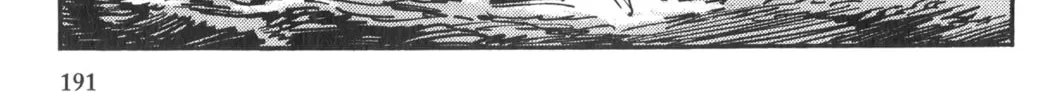 Read New Lone Wolf and Cub chapter 2 image 361 on Lezhin