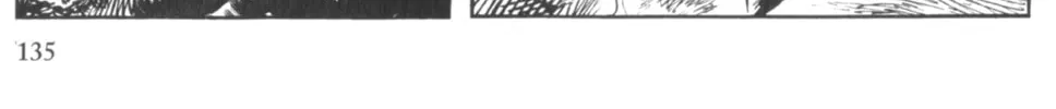 Read New Lone Wolf and Cub chapter 3 image 255 on Lezhin