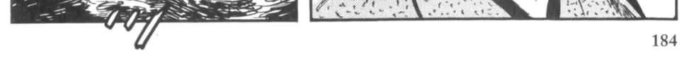 Read New Lone Wolf and Cub chapter 3 image 350 on Lezhin