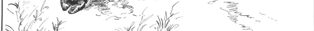 Read New Lone Wolf and Cub chapter 3 image 411 on Lezhin
