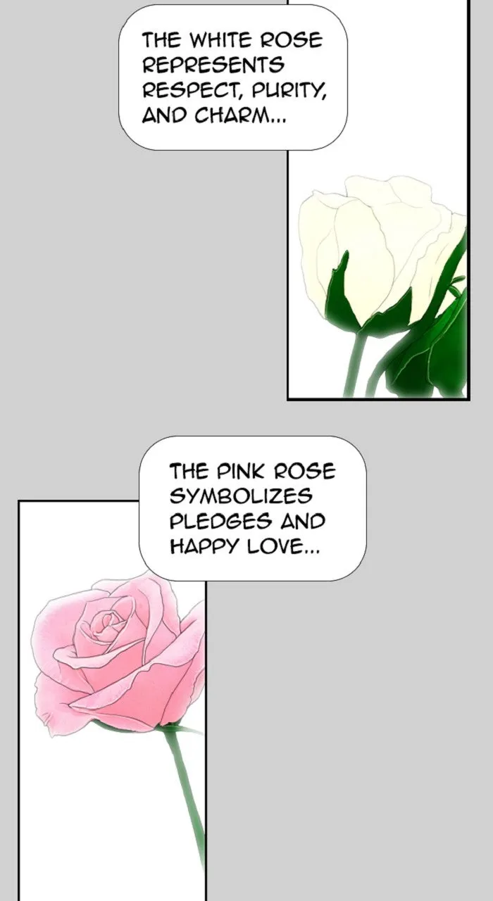 Read New Normal: Class 8 chapter 274 image 7 on Lezhin