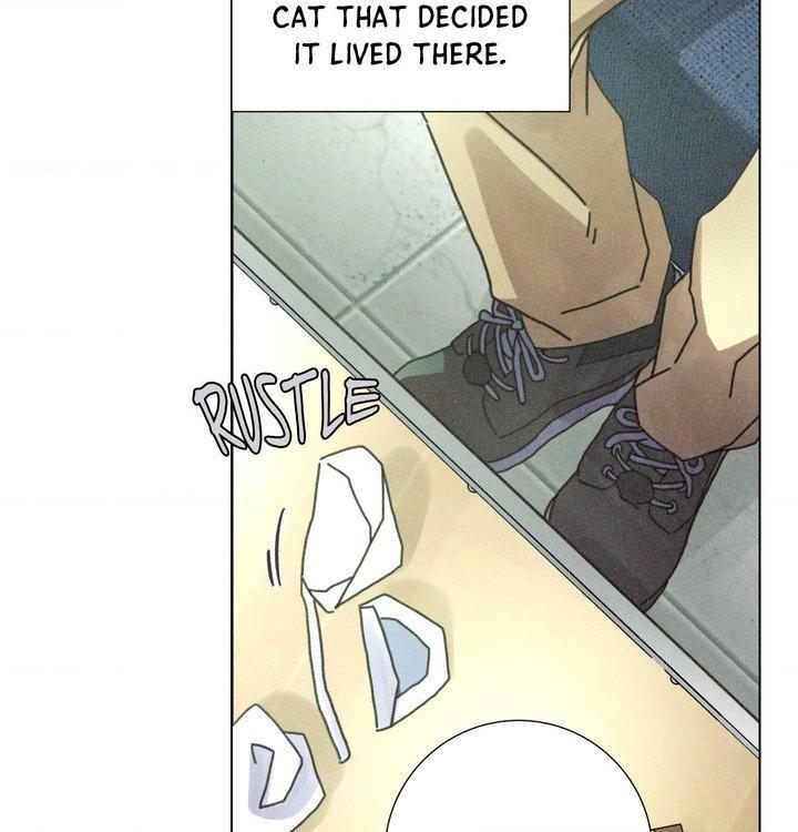 Read New World Order chapter 2 image 33 on Lezhin