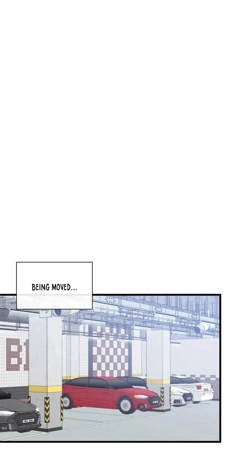 Newcomers Turn Low at Night Chapter 24 page 42 - 
