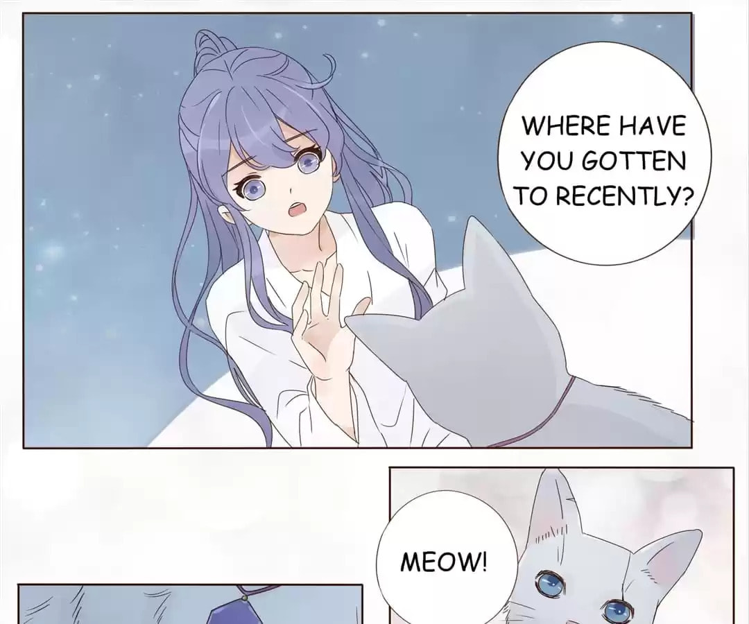 Read Next to the Prince (Colored) chapter 147 image 13 on Lezhin
