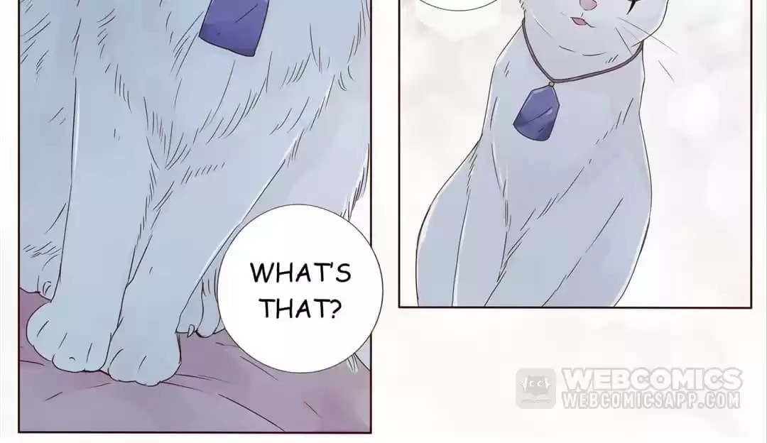Read Next to the Prince (Colored) chapter 147 image 14 on Lezhin