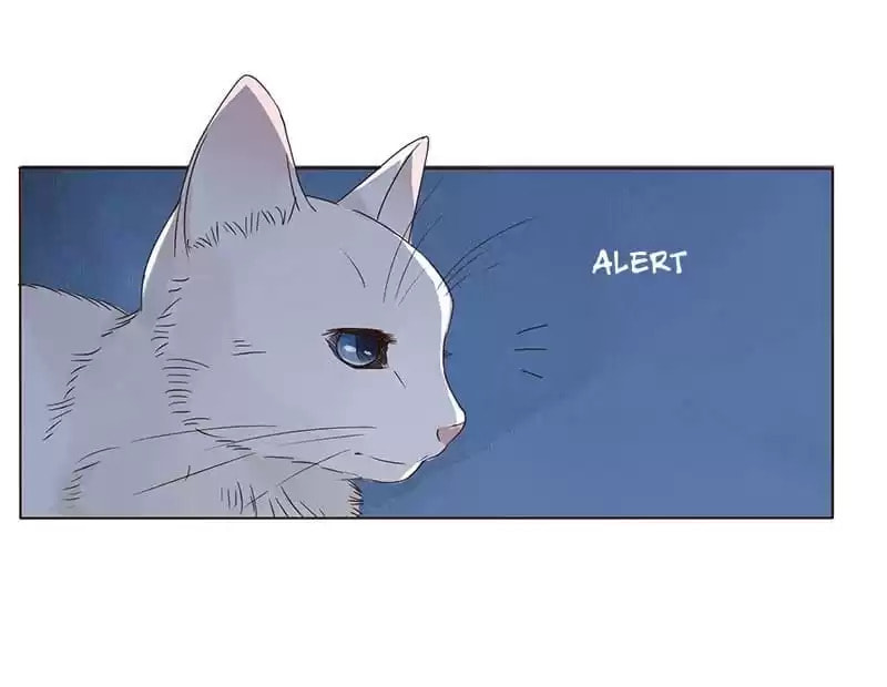 Read Next to the Prince (Colored) chapter 149 image 17 on Lezhin