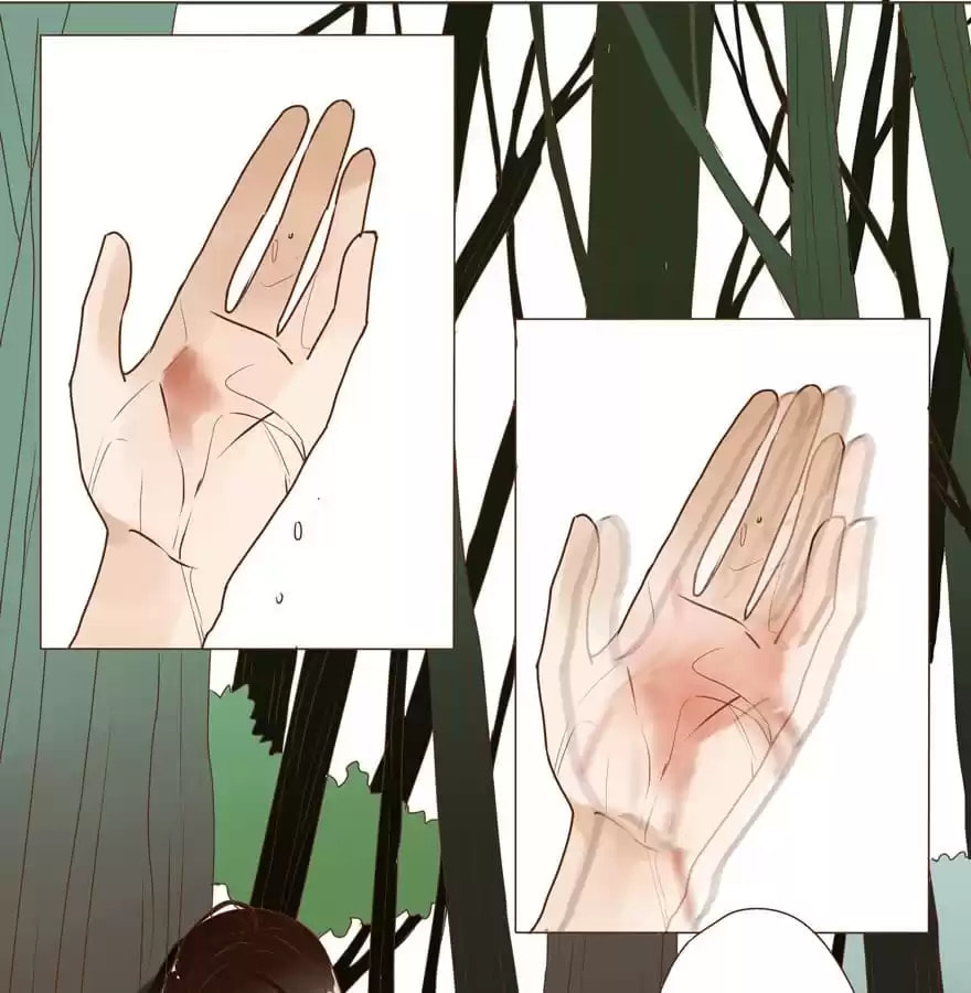 Read Next to the Prince (Colored) chapter 2 image 1 on Lezhin