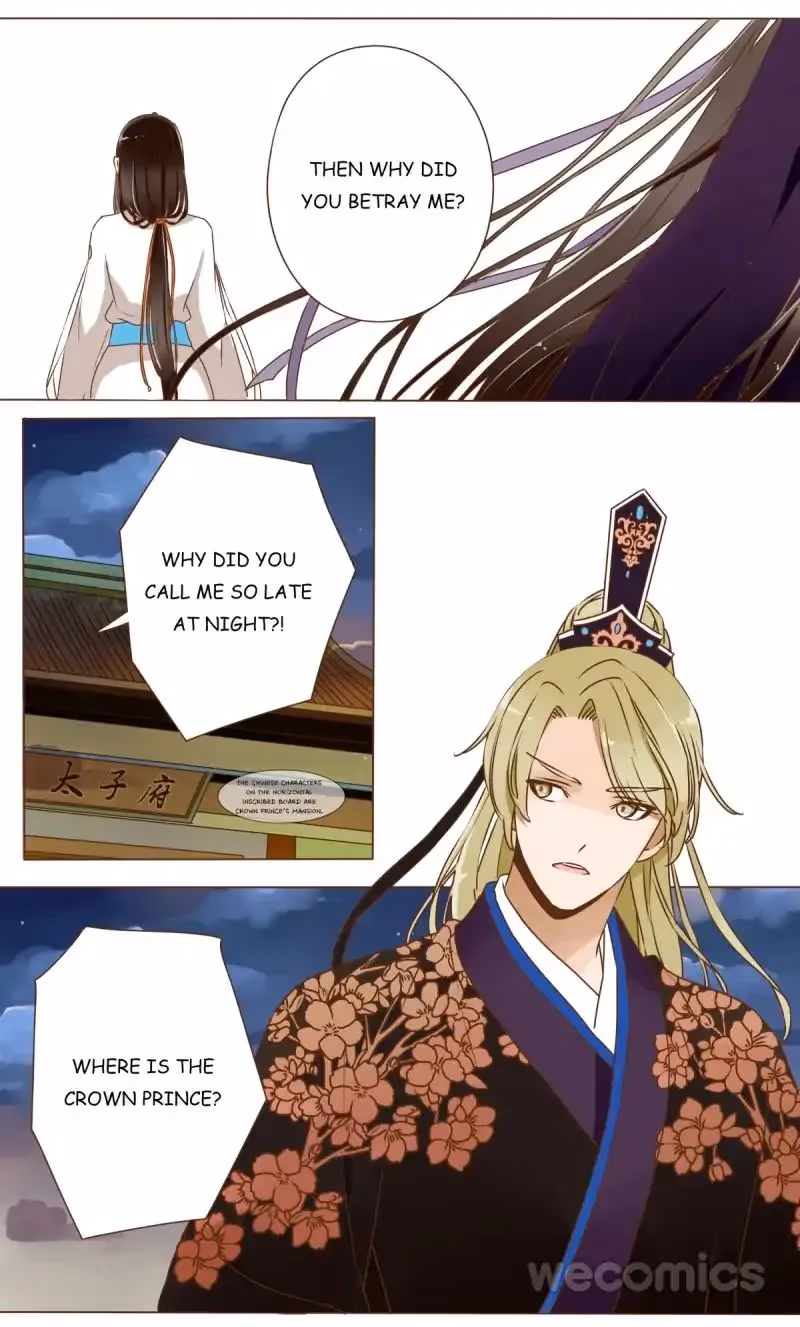 Read Next to the Prince chapter 12 image 51 on Lezhin