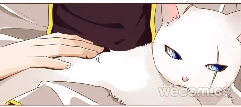 Read Next to the Prince chapter 7 image 8 on Lezhin