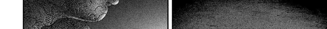 Nezumi No Hatsukoi Chapter 65 page 25 - 