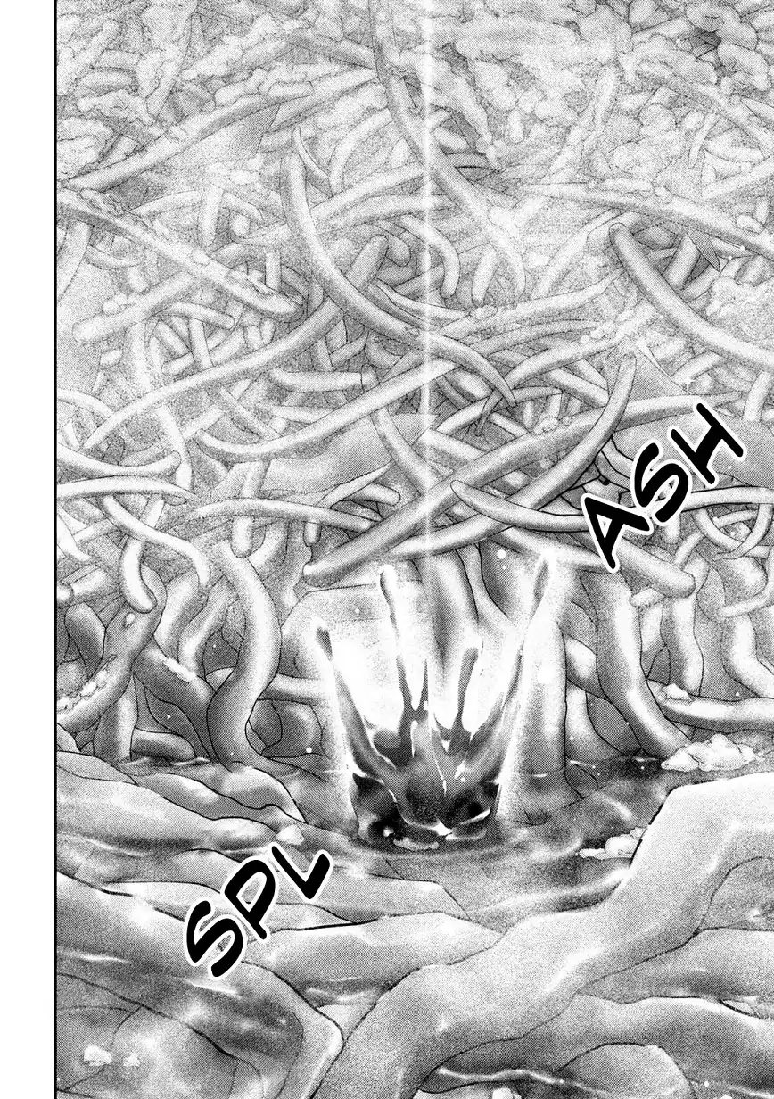 Read Nezumi