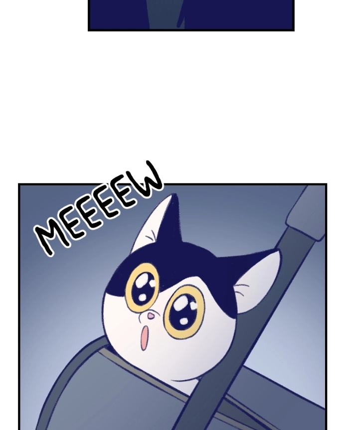Nice To Meet You Chapter 10 page 54 - 