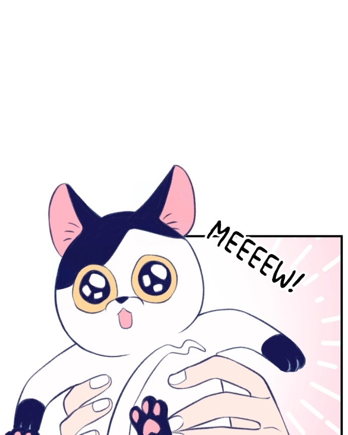 Nice To Meet You Chapter 13 page 41 - 