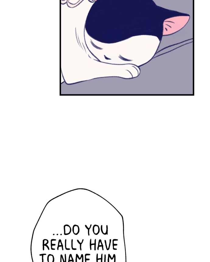 Nice To Meet You Chapter 13 page 93 - 