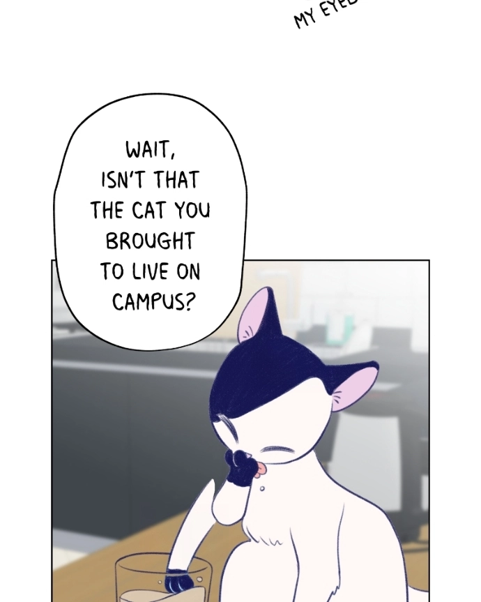 Nice To Meet You Chapter 14 page 37 - 