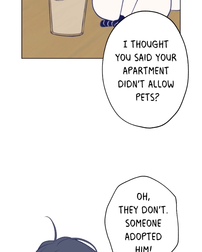 Nice To Meet You Chapter 14 page 38 - 