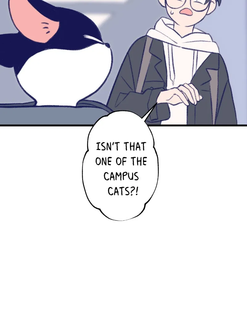 Nice To Meet You Chapter 9 page 42 - 