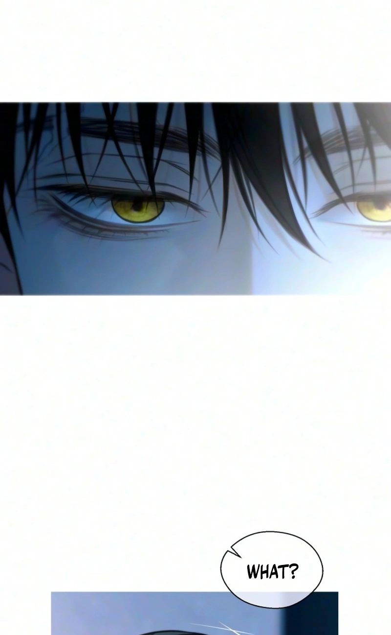 Read Night at the Crossroads chapter 10 image 67 on Lezhin