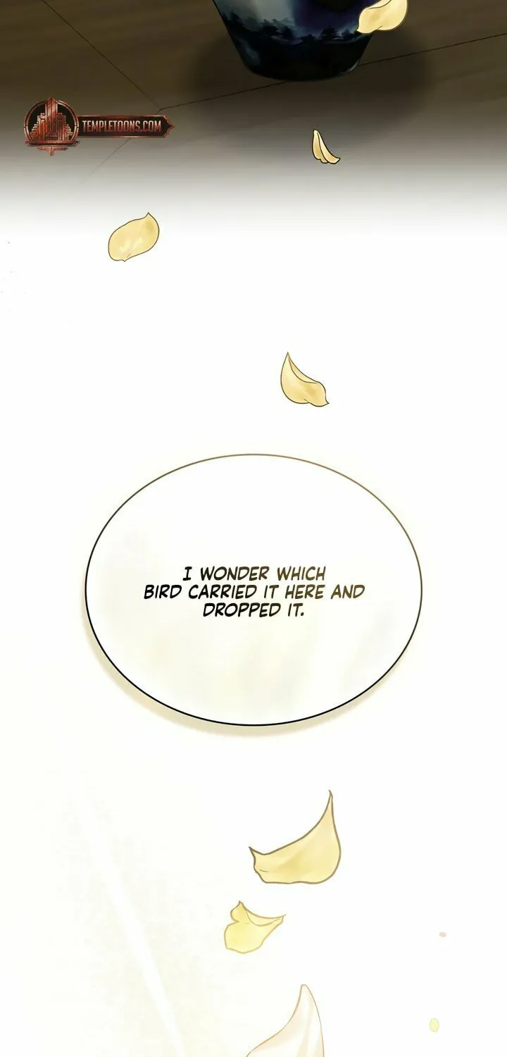 Read Night Journey chapter 17 image 26 on Lezhin