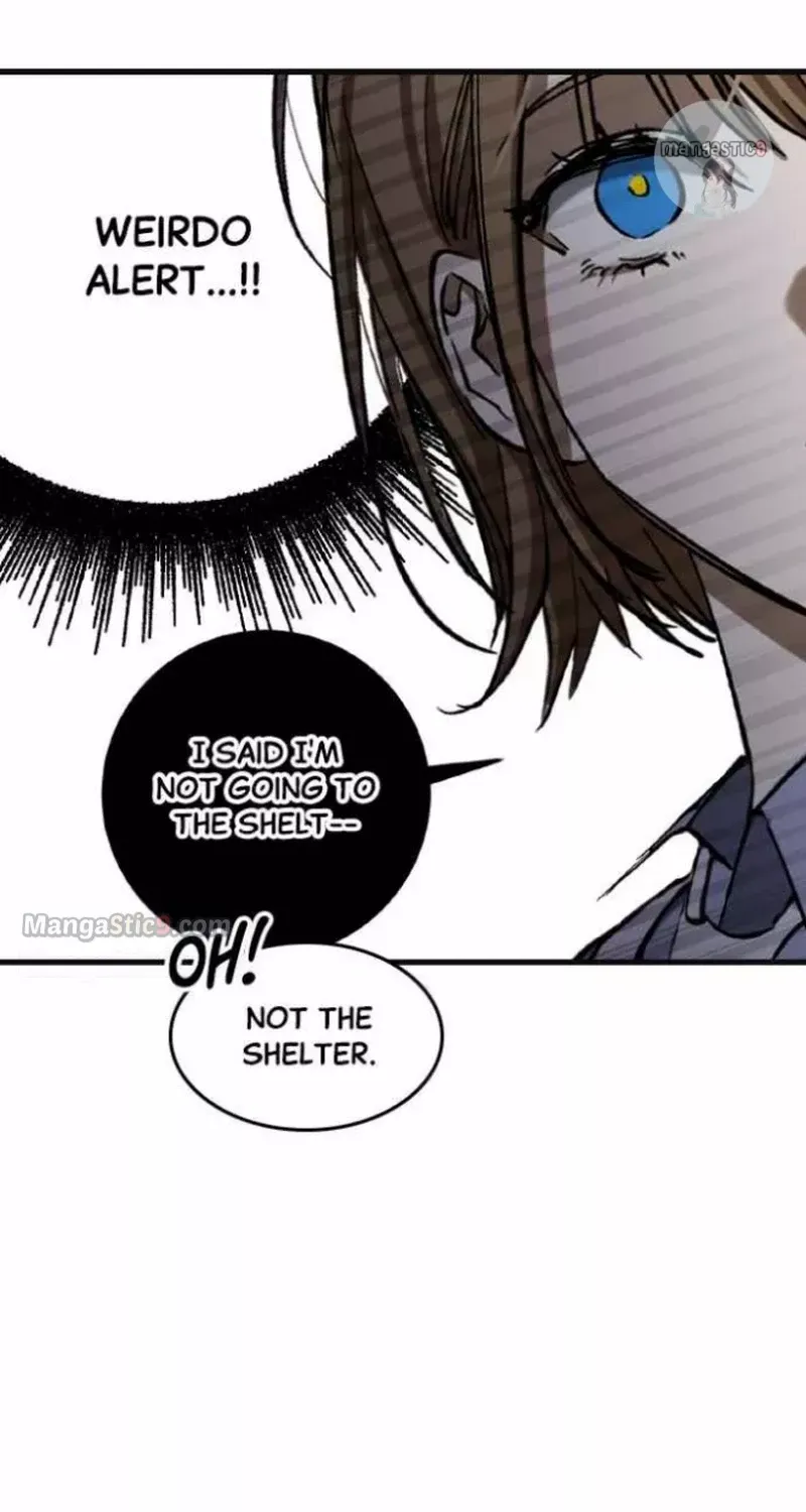 Night of Shadows Chapter 28 page 55 - 