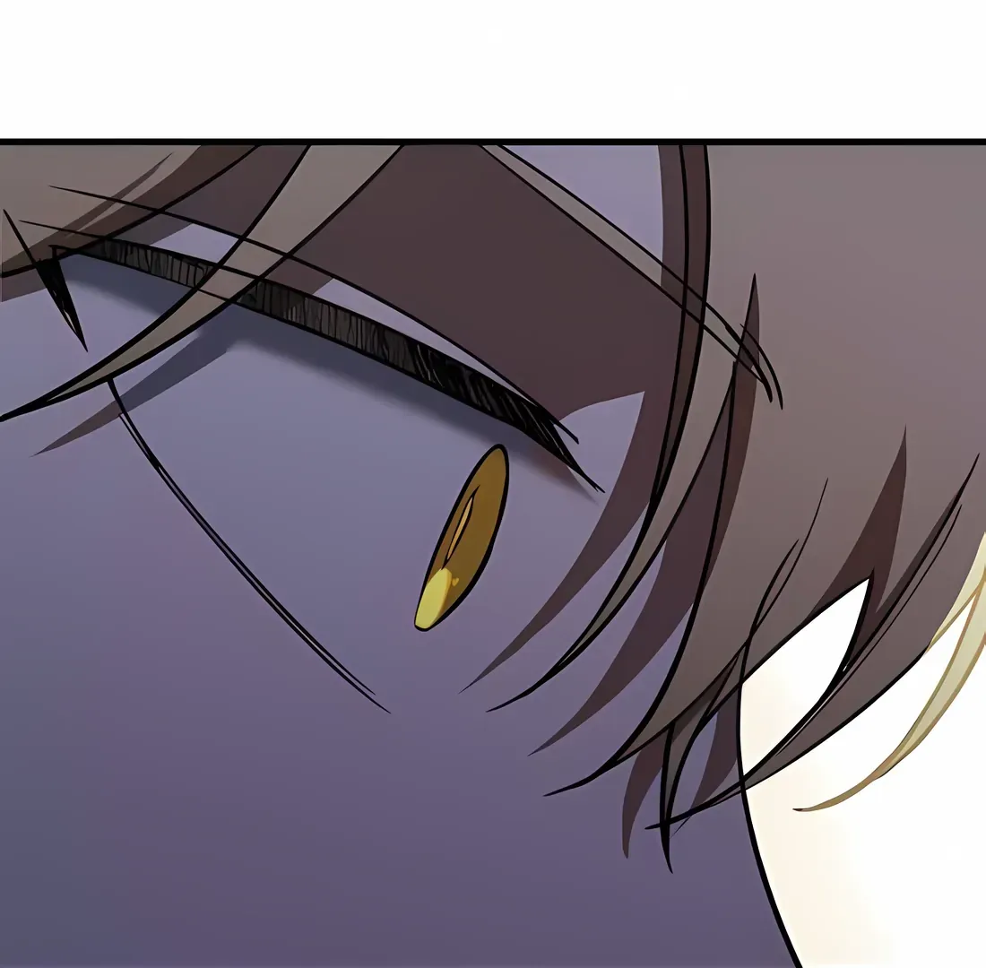 Night of Shadows Chapter 58 page 47 - 