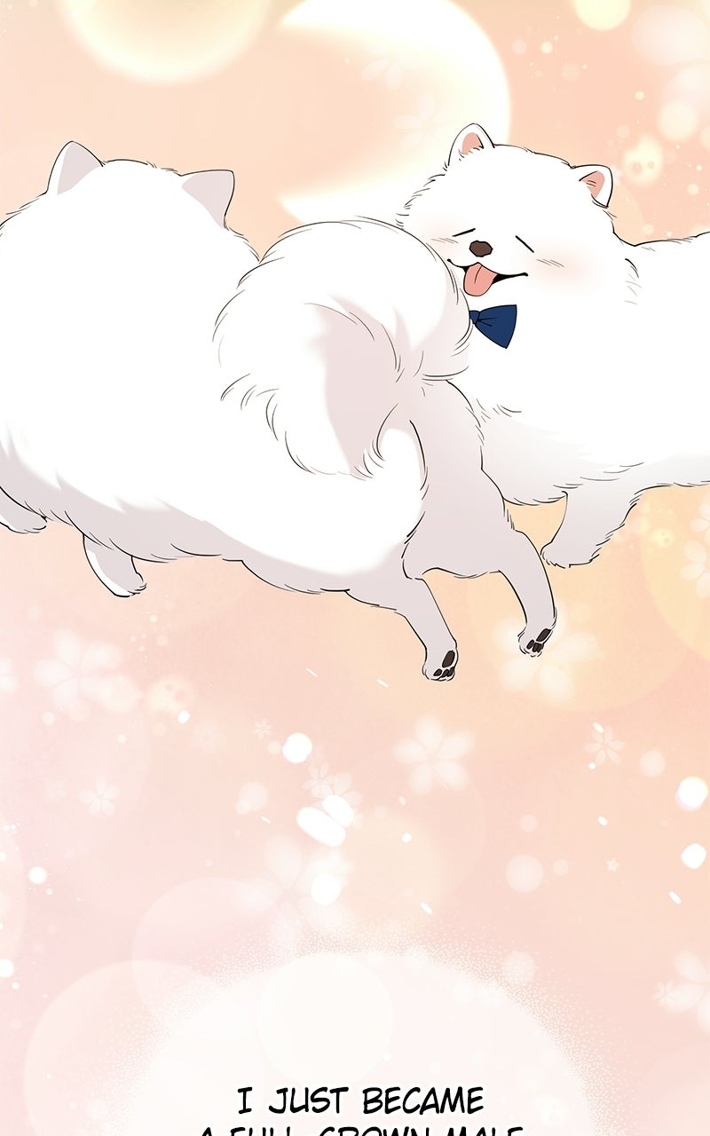 Read Night Shift in AnotherWorld chapter 15 image 22 on Lezhin